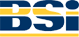 British Standards Institute